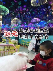 -萌兔星空蹦床撸兔馆