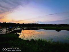 -塞罕坝国家级自然保护区