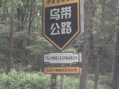 -汤旺河林海奇石景区