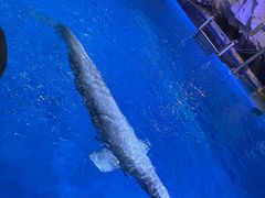 -海合安青岛极地海洋公园