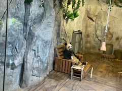 -深圳野生动物园