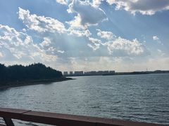 -丁香湖公园