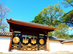 -醍醐寺