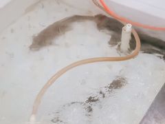 -山城家常菜铁锅炖鱼