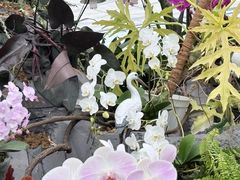 -上海鲜花港