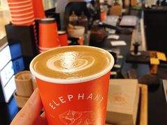 -Elephant Grounds(STARSTREET)