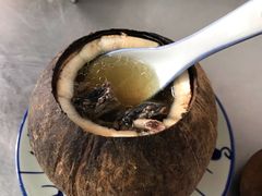 -達揚原味燉品(文明路店)