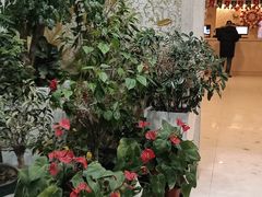 -百姓康洁洗浴(红桥店)