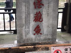 -西湖外事游船(花港观鱼码头)