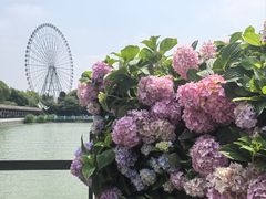 -无锡蠡湖国家湿地公园-蠡园