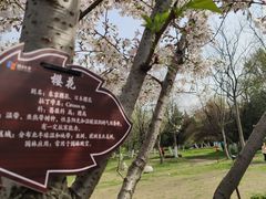 -大蜀山国家森林公园