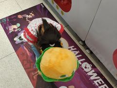 -LLJ夹机占(正佳广场店)