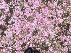 -白塘生态植物园