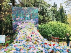 -上海共青森林公园