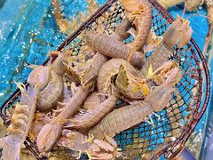 -好兄弟郭巨海鲜(天一阁店)