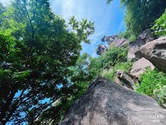 -秦岭风景区