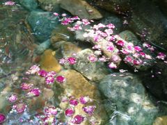 -厦门日月谷温泉渡假村