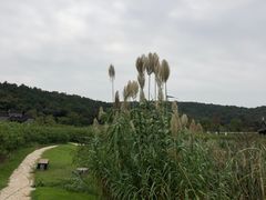 -龙寺生态园