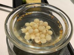 鸡头米桂花糖水-松鹤楼·非遗·苏帮菜(融科店)