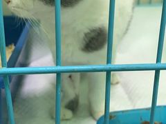 -圣宠动物医院·犬猫专科·影像中心·外科中心