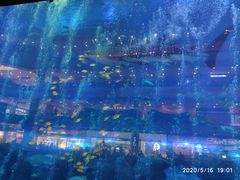 -成都浩海立方海洋公园