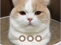 -Helens海伦司小酒馆(南京洪武路店)