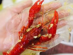麻辣小龙虾-扒虾小妹儿麻辣海鲜(宏图街店)