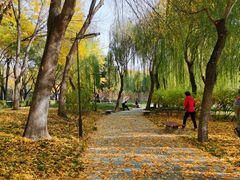 -元大都城垣遗址公园