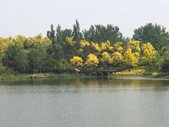 -东郊湿地公园