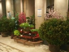 -苏淮景·苏闽融创菜·海鲜(原空港井河轩店)