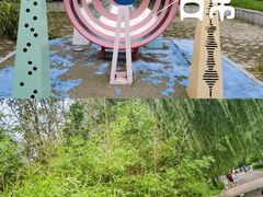 -西吴河科普公园