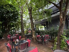 -Fern Forest Cafe