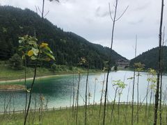 -武陵山森林公园