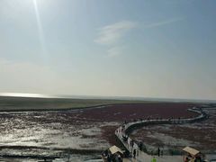 -红海滩国家风景廊道