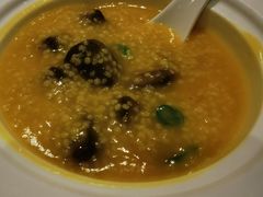 小米煮鲜乌沙参-悦景酒家(罗湖店)