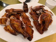 -鸿达渔港