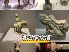 -洛阳博物馆