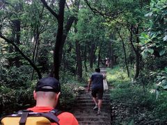-广州市帽峰山景区