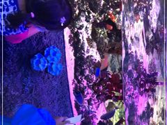 -沈阳海洋探索中心