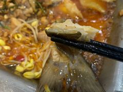 -黑猫馋纸包鱼(阳光店)