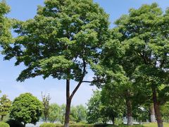 -云龙湖旅游景区