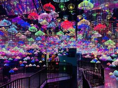 -无锡动物园·太湖欢乐园