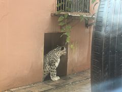 -青藏高原野生动物园