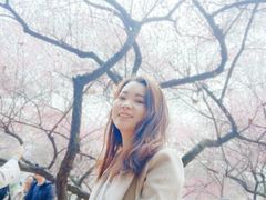 -武汉大学-樱园