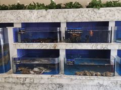 水产区-香山湖渔家大院