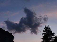 -重庆睡佛山森林公园