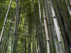 -成都杜甫草堂博物馆