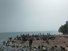 -深圳湾公园(南山区)