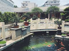 -顺德了能馆(虎门店)