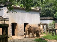 -手工艺活态馆